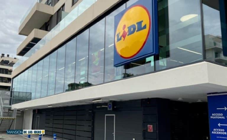 El Aparato De Lidl Para Cocinar El Arroz Siempre En Su Punto