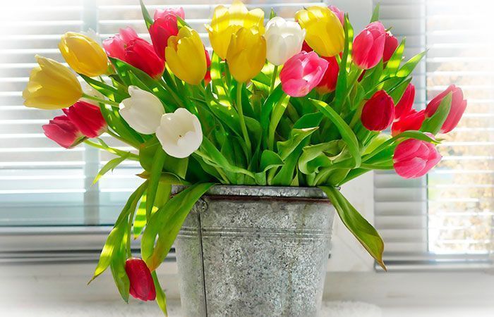 regalos-dia-de-la-madre,-ramo-de-flores,-ramo-de-tulipanes,-ramo-de-tulipanes-en-un-cubo