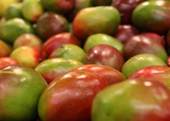 Propiedades y beneficios del mango para la salud