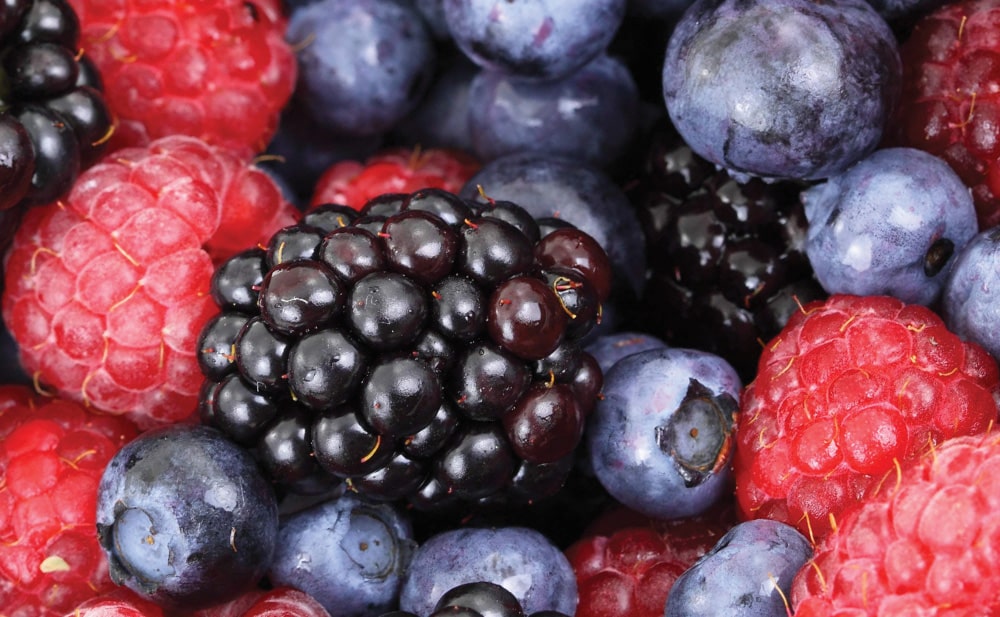 frutas-del-bosque-razones-para-comer