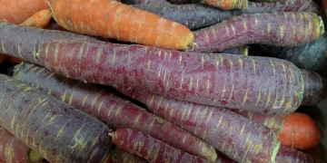 Por que las zanahorias moradas son buenas - Top beneficios