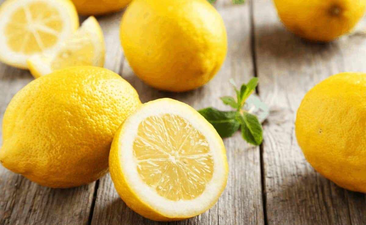 Cuándo es la temporada de limones en España