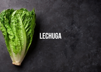 lechuga-por-la-noche