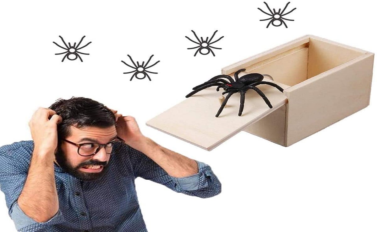 Caja con Araña