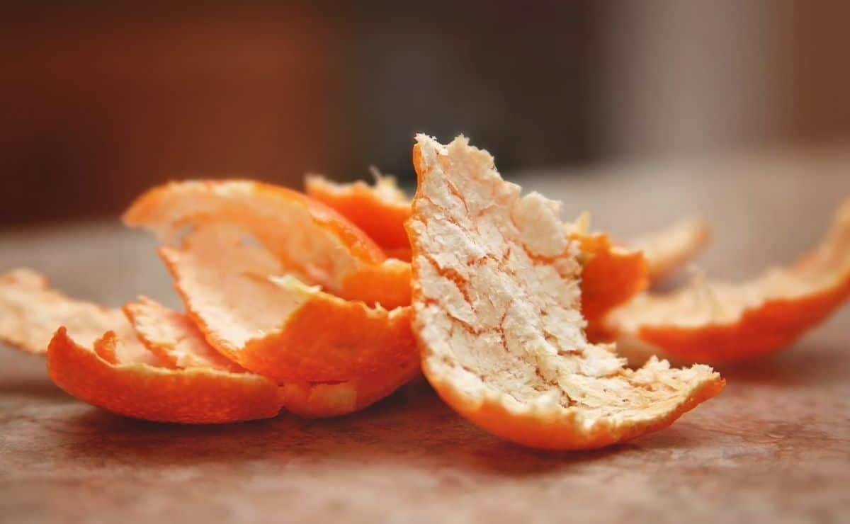 Con la cáscara de naranja puedes preparar estos alimentos