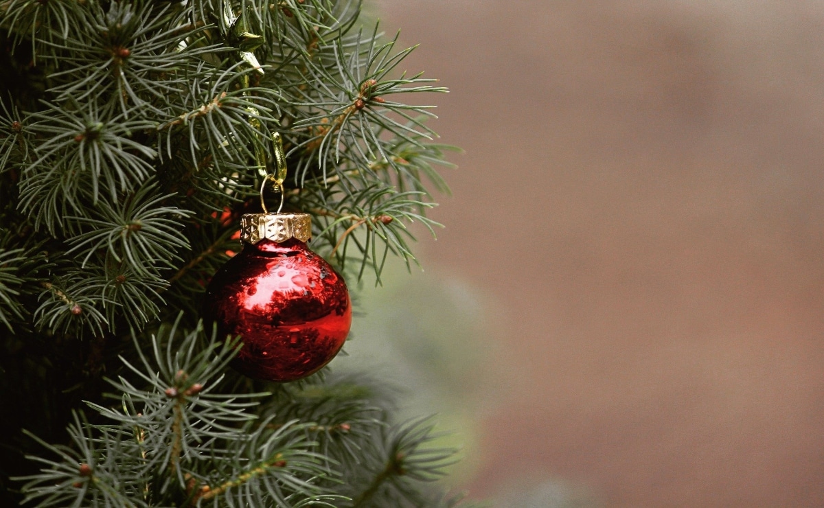 árbol de navidad con bola roja