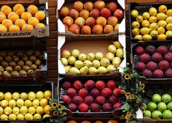 El motivo por el cual los médicos y nutricionistas recomiendan comerse la piel de las frutas