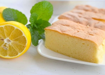 esponjoso nutritivo limon