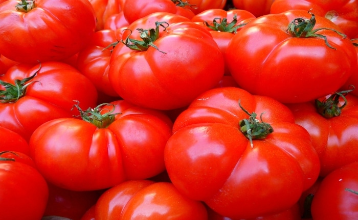 tomates RAF