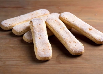 ladyfinger bizcocho galleta