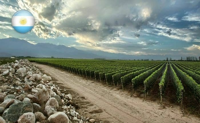 Argentina lleva poco, pero es uno de los mejores países productores de vino del mundo