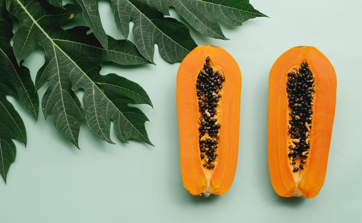 cómo da frutos el árbol de papaya