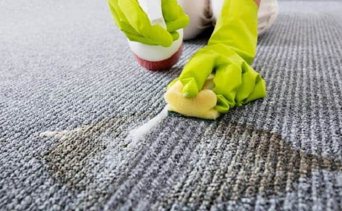 limpiar pipi mascota alfombra