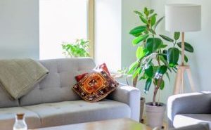 salon sofá blanco, planta y colorido