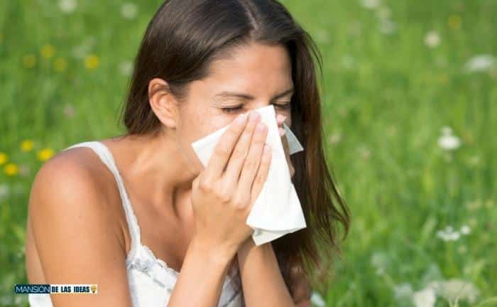 Síntomas de la alergia primaveral