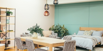 dormitorio abierto con pared verde, mesa y estanteria de madera y una planta