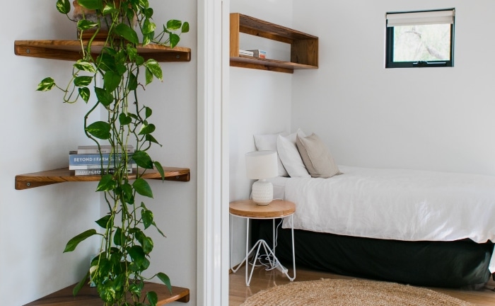 dormitorio abierto con estantería con planta y luz natural