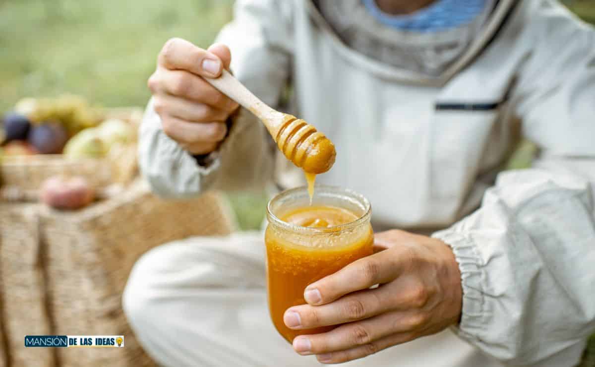 beneficios propiedades miel abeja