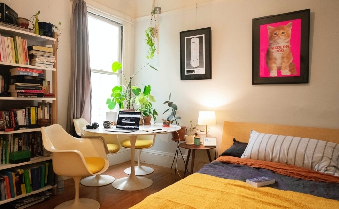 dormitorio en amarillos con plantas, estantería y cuadro rosa de un gato