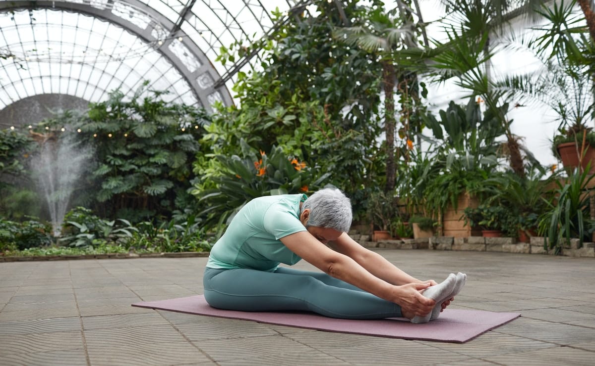 cómo cuidar un jardín botánico