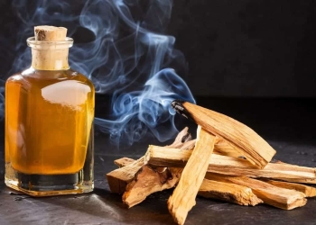 limpiar malas energias palo santo