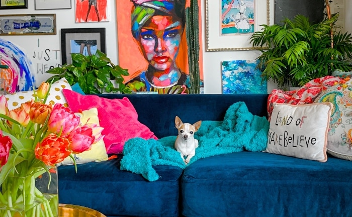 salón con perro en sofá azul, cojines de diversos estampados y plantas y flores