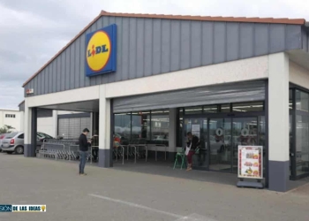 Aparato de Lidl para limpiar y quitar pelusas