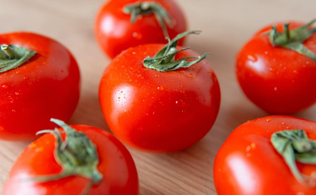 tomate en maceta