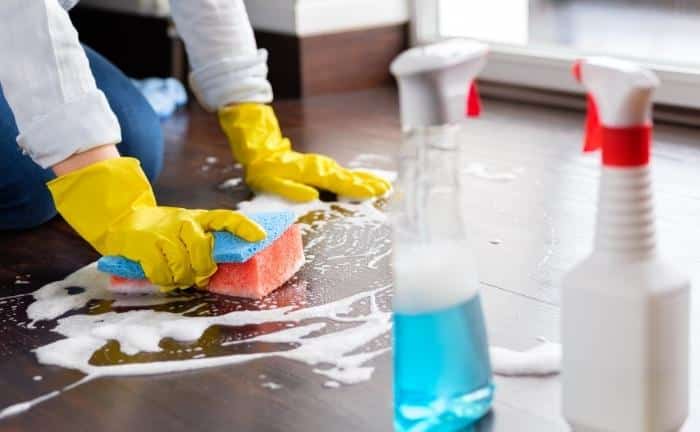limpiar casa evitar hormigas