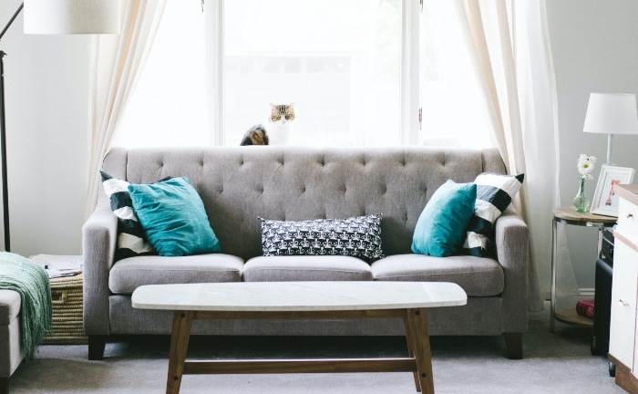 sofá gris con ventana con gato al fondo, dos cojines azules y dos de rayas blancas y negras a los lados y otro pequeño en el centro blanco y negro, con alfombra gris, lámpara de pie y pequeña mesa central 
