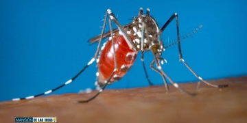 vinagre mosquito espantar