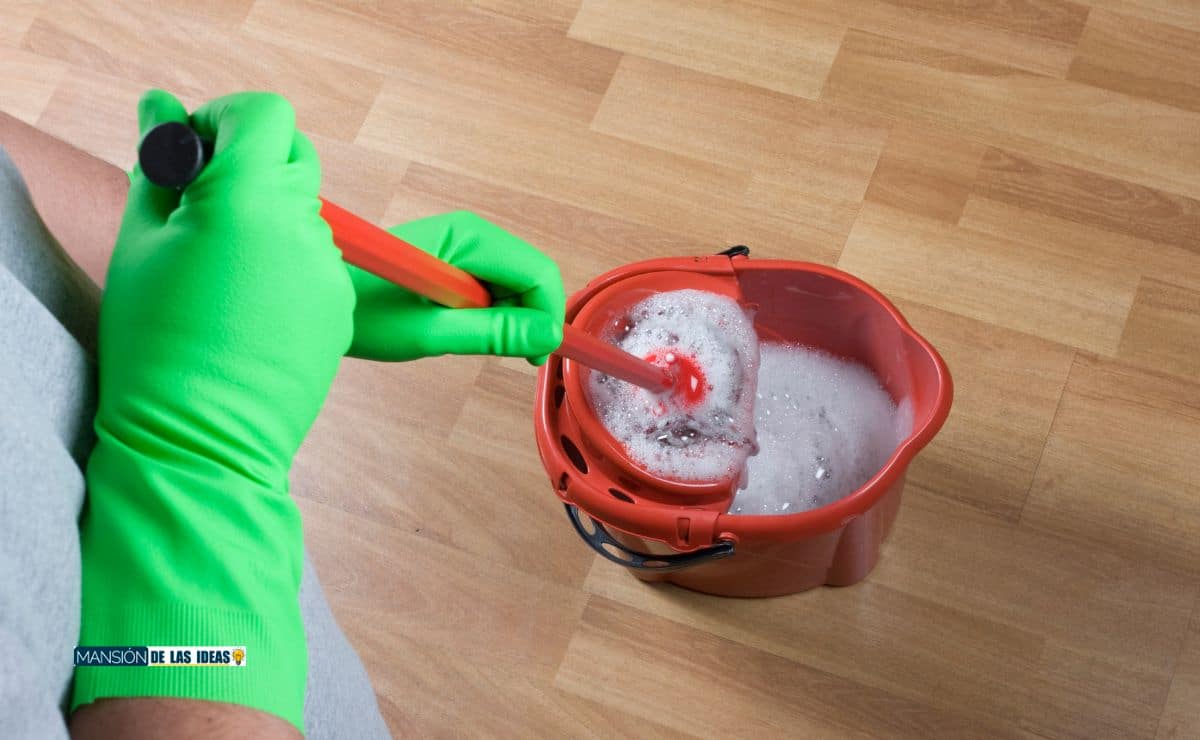 Cómo limpiar una aceitera? El truco de limpieza más fácil para que queden  relucientes
