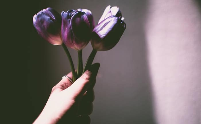 significado de los tulipanes azules