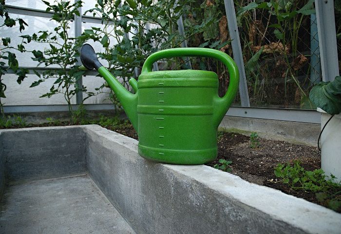 uso del jabon potasico en jardineria
