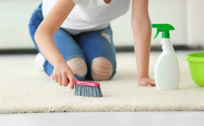 limpieza alfombra sin aspiradora