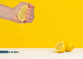 beneficios vitaminas cascara limon