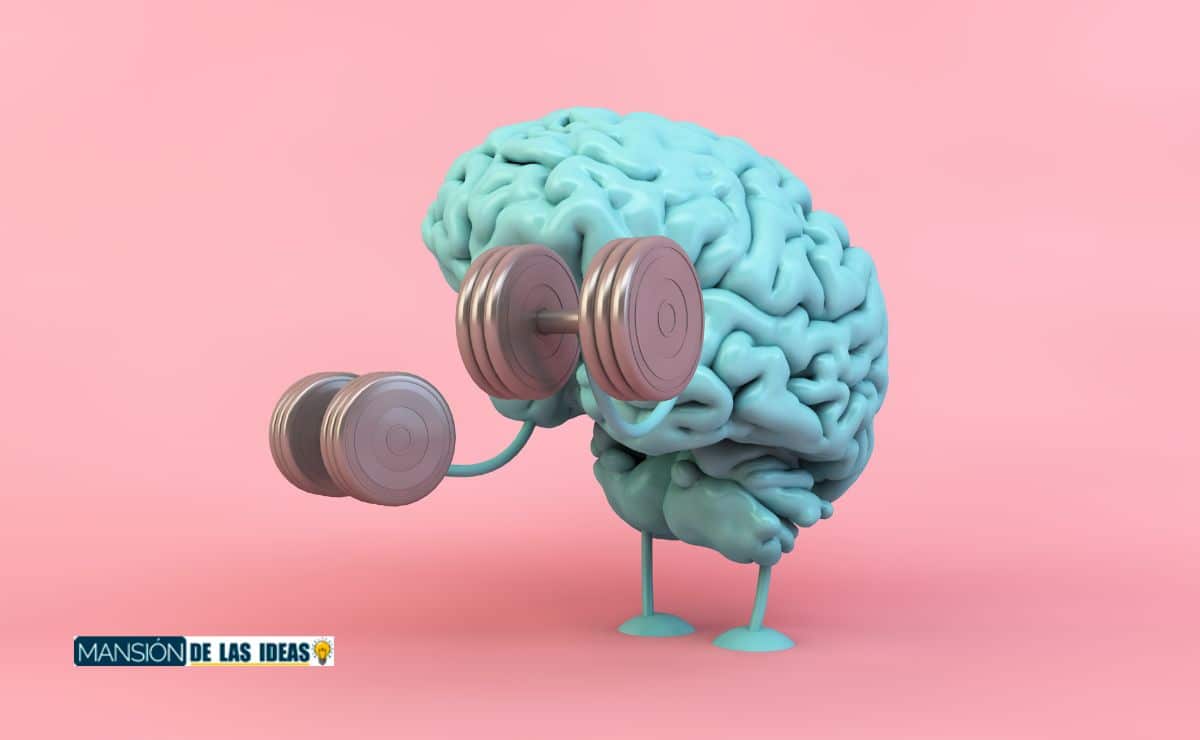 cerebro alimentacion