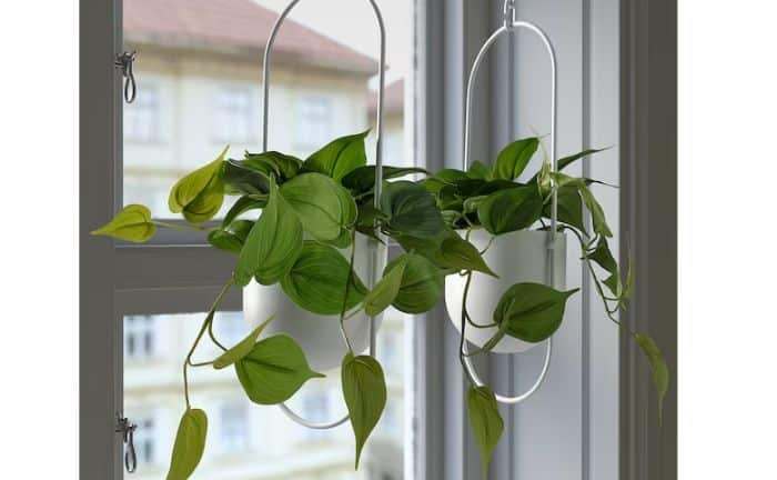 planta photos colgante Ikea artificial