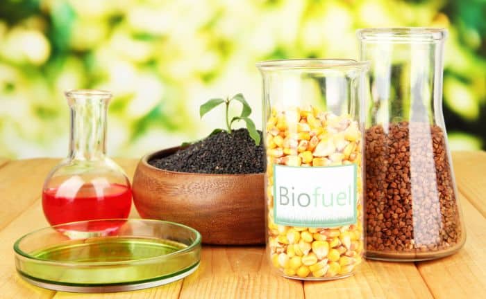 chimenea bioetanol ventajas