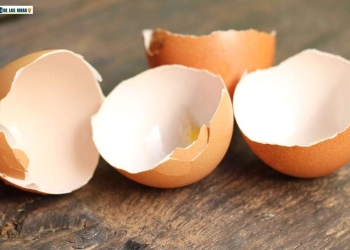 usos cascara huevo
