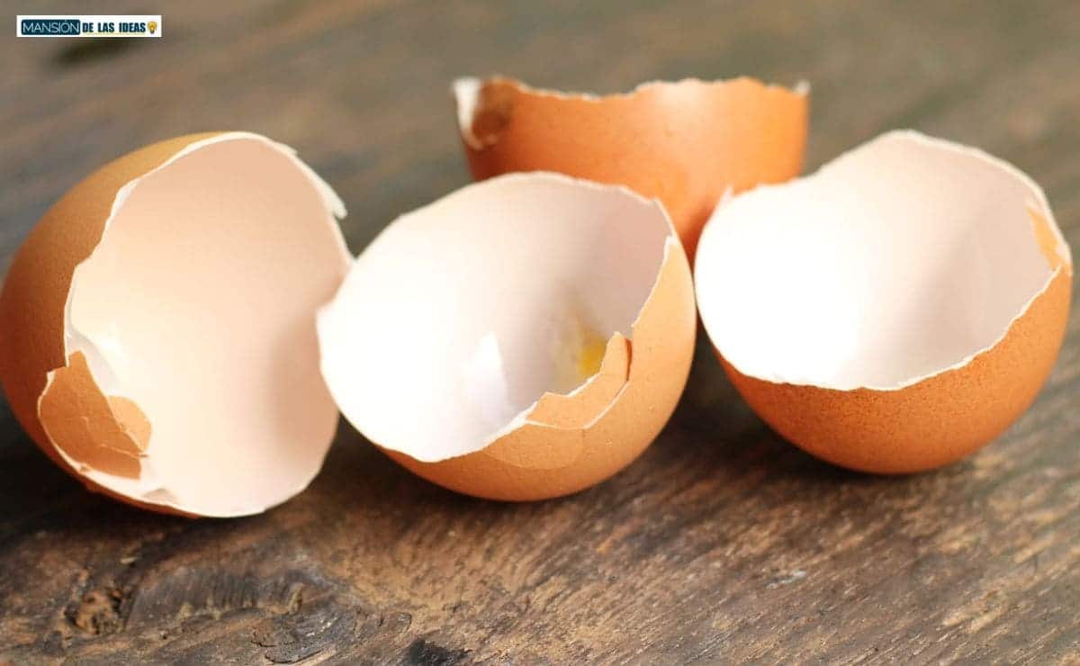 usos cascara huevo