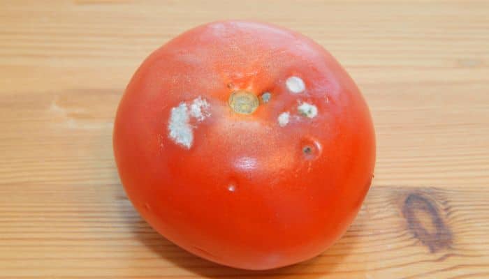 evitar tomates mal estado