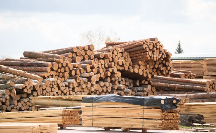 troncos de madera