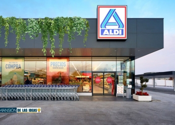 maceteros aldi plantas naturales