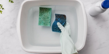 desinfectar esponja microondas