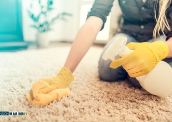 Elemento ideal eliminar cualquier mancha alfombra