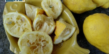 limpiadores naturales frutos citricos