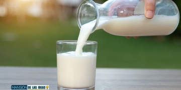 ocu leche mas saludable