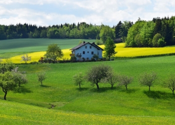alquiler terreno agricola rural