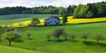 alquiler terreno agricola rural